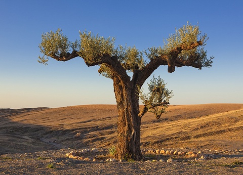Circuit Entre Mer et Désert - 11