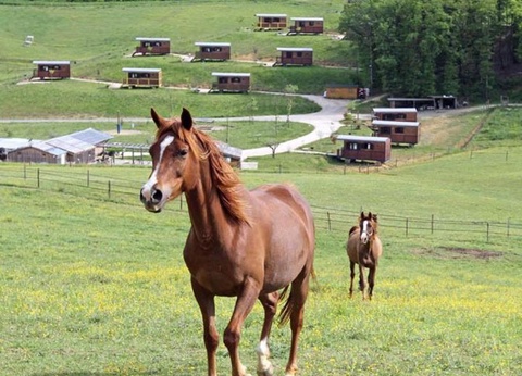 Domaine d'Escapa, 4* - 20