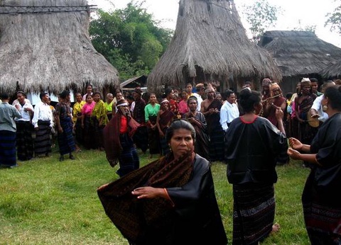 Circuit Iles et Volcans d'Indonésie - 23