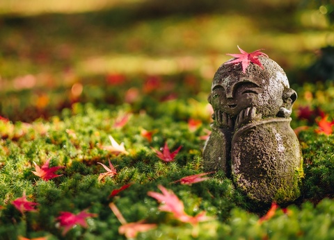 Circuit individuel: Monts et mers veillent en 3*ou 4* - 18