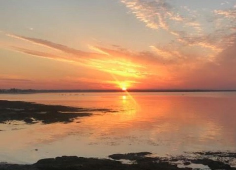 Camping Le Bois d'Amour - 16