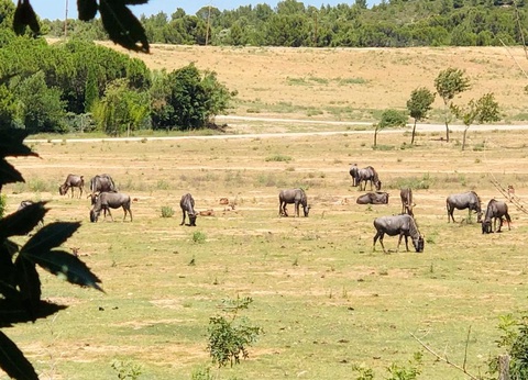 Camping La Grange Neuve, 3* - 30