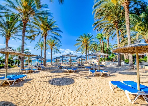 Hôtel SBH Costa Calma Beach Resort 4* - 12