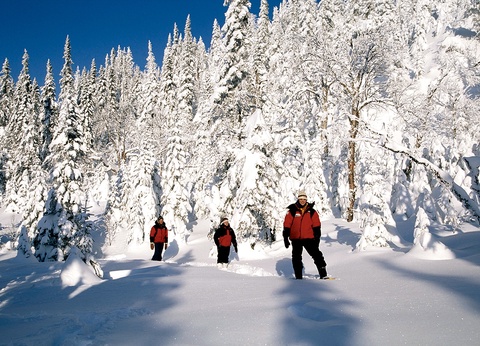 Circuit Retour aux sources 4* - 6