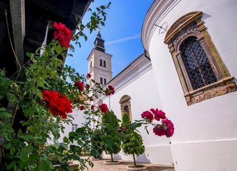 Escapades privées de Belgrade à Novi Sad 4* - 12