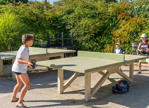 Camping L'Abri des Pins, 4* - 60