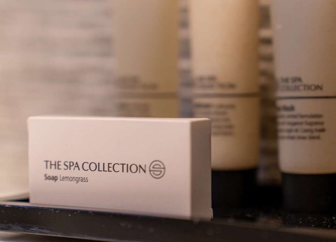 Découvrez Keukenhof et profitez d'un séjour de luxe à Amsterdam - 4* - 28