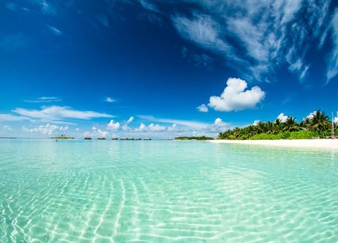 Circuit Splendeurs du Sri Lanka & Extension Maldives Hôtel Fihalhohi Island 4* - 11