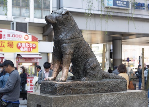 A la découverte du Japon (de Tokyo à Osaka) - 7