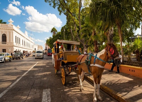 Circuit Yucatan en train - 5