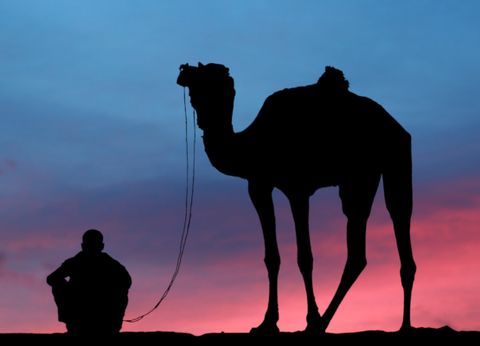 Circuit Mille et Une nuits, Rêve d'Orient au coeur du désert en Privatif - 7