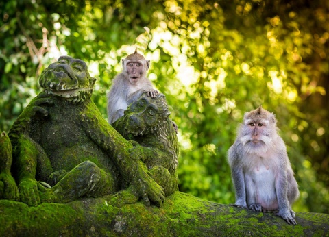 Circuit Bohème Balinaise - 3