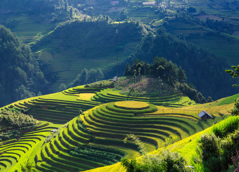 Circuit Légende d'Indochine - 13