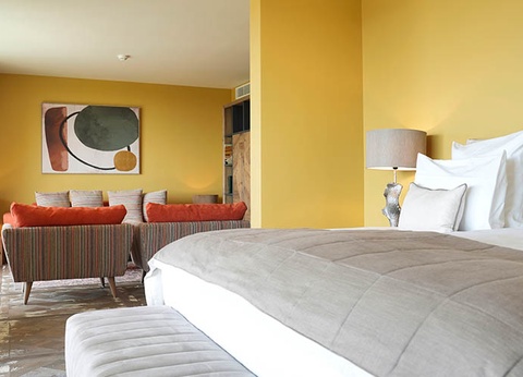 Hôtel Les Régalia Hôtel & Spa 5* - 29