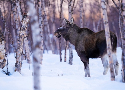 Club Jumbo First Village (activités incluses) - 11