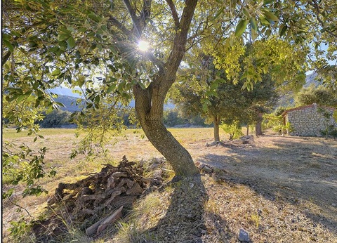 Camping La Tour de France, 3* - 52