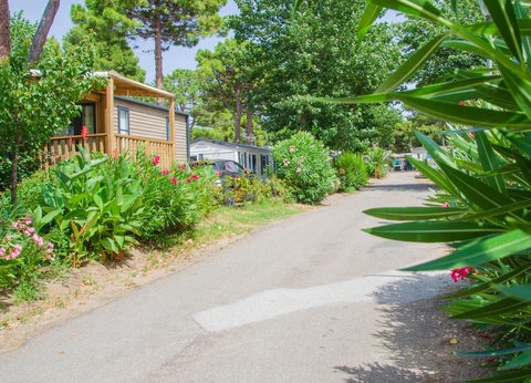 Camping les Jardins d'Agathe ****, 4* - 17