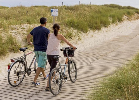 Camping Le Bois d'Amour - 11