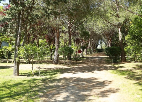 Camping Le Rebau, 3* - 13