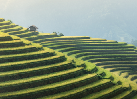 Circuit Aux origines du Vietnam : de Mu Cang Chai à Ta Giang Phin - 23