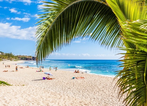 Circuit Beautés de la Réunion, logement aux Aigrettes ** - 2