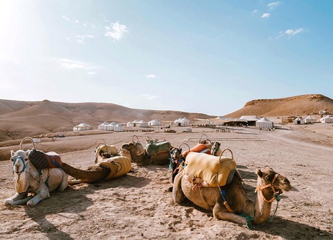 Circuit Marrakech & Experience Unique au Désert d'Agafay - 10