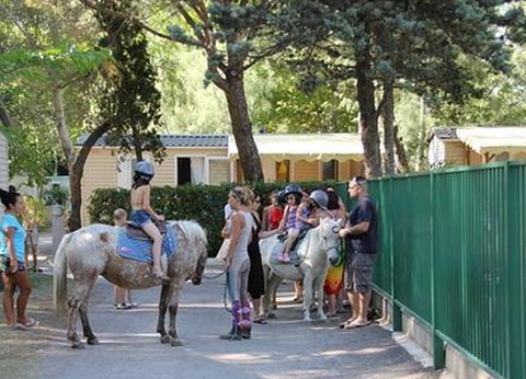 Camping Abri de Camargue, 4* - 69