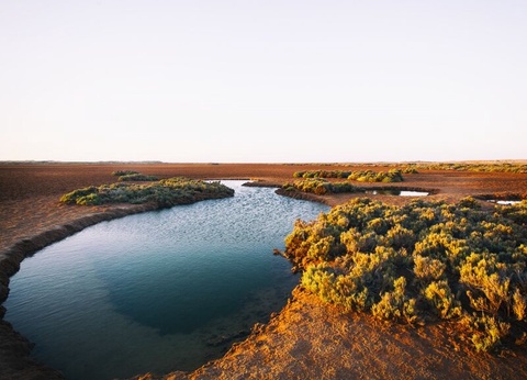 Hôtel Dunes de Daklha 4* - 14