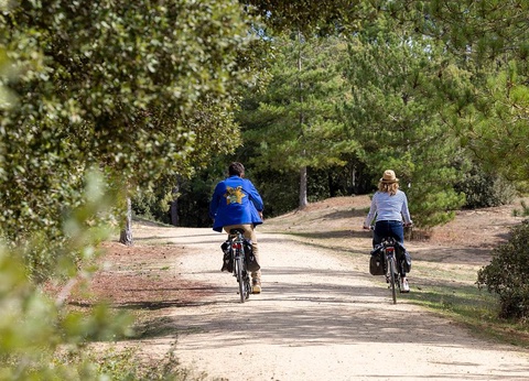 Flower Camping La Davière Plage, 4* - 84