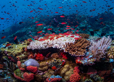 Circuit Des Secrets de Bali aux Dragons de Komodo - 19