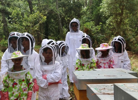 Camping Espace Blue Ocean, 4* - 43