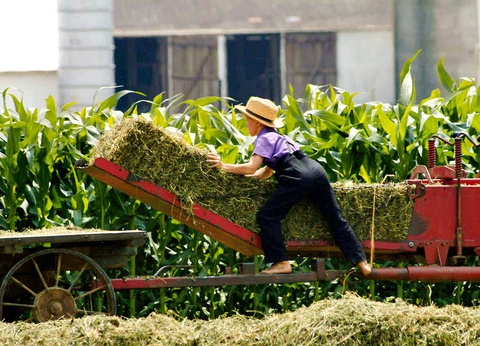 Circuit Clin d'oeil à l'Est - 14