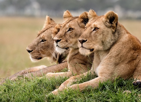 Circuit Trésors d'Afrique australe - 17