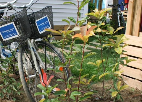 Camping Joan, 3* - 37