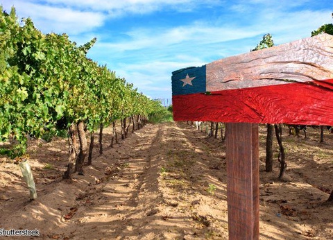 2026 - Exploration en Terre de Feu et de Glace (croisière) - 16 personnes maximum - 4