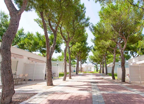 Camping Villaggio Baia Del Monaco, 4* - 34