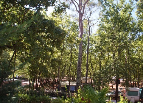 Camping Le Parc, 4* - 77