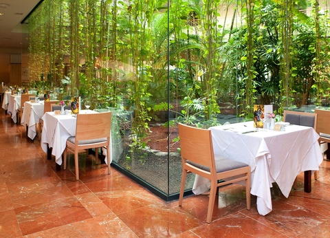 Hôtel Hipotels Natura Palace 4* - Adult Only - 35