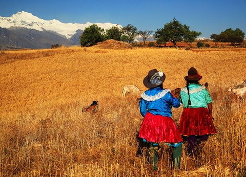 Circuit Splendeurs du Pérou - 15