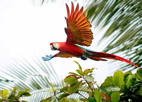 Circuit Costa Rica Autrement - 12