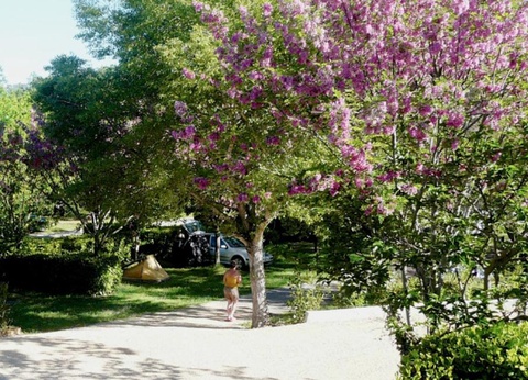 Camping Tikayan Saint Clair, 3* - 19