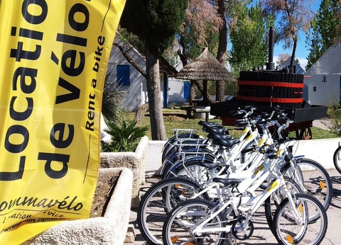 Camping Le Camarguais, 3* - 10