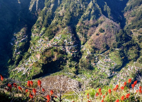 Circuit Douceurs de Madère **** - 19