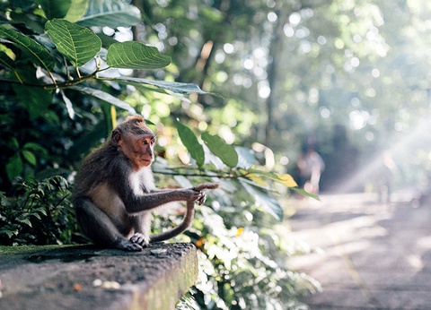 Circuit Irrésistible Bali 3/4* - 9