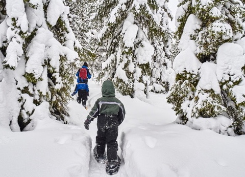 Club Jumbo Santa's Hotel Tunturi Laponie (demi-pension, activités incluses) - 5