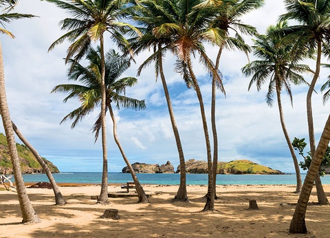 Les Antilles, la Caraïbe Française - 10