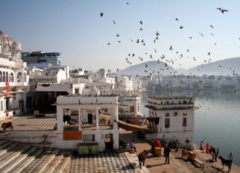 Circuit L'Inde des Rajputs - 14