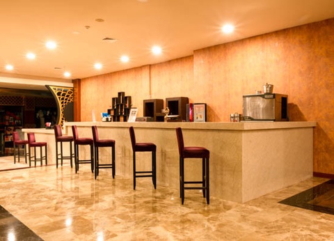 Hôtel Siam Elegance Hôtel & Spa ***** - 17