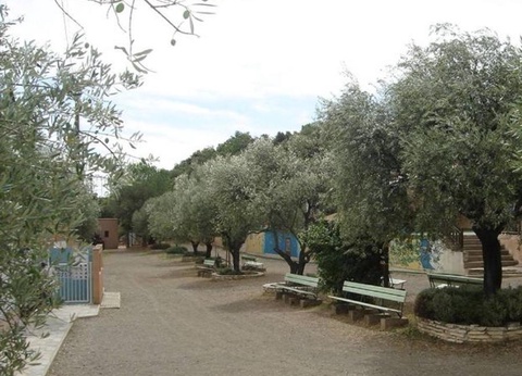 Camping L'oliveraie, 3* - 51