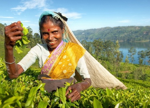 Circuit privé Ceylan colonial - 11